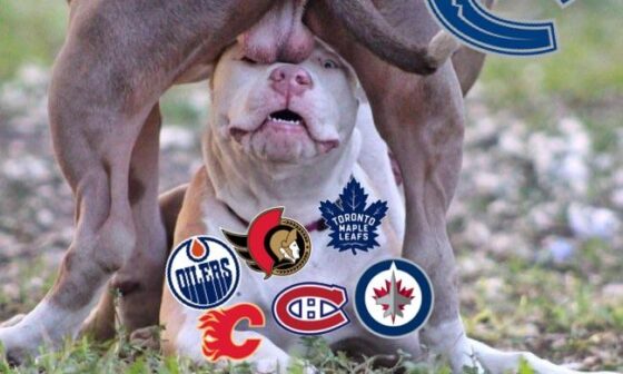 The state of the Canadien hockey teams