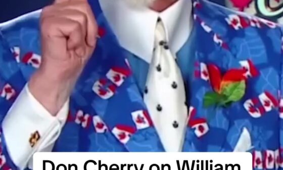 Don Cherry on Nick Ritchie and Toronto's mistake in 2014