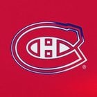 [Habs on Twitter] The Canadiens have activated Arber Xhekaj off IR and loaned him to the Laval Rocket.