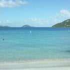 [Milone] Martino: "Cashman said we can't do 7 pitchers and talks stalled no talks yesterday and the Yankees were down on where it stood, So the Padres went to the Jays and other teams "