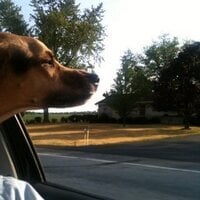 Jokic has highest triple double rate among career TD leaders