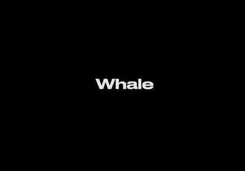 Can anyone edit the song "Sail" by Awolnation to say "Whale" instead?
