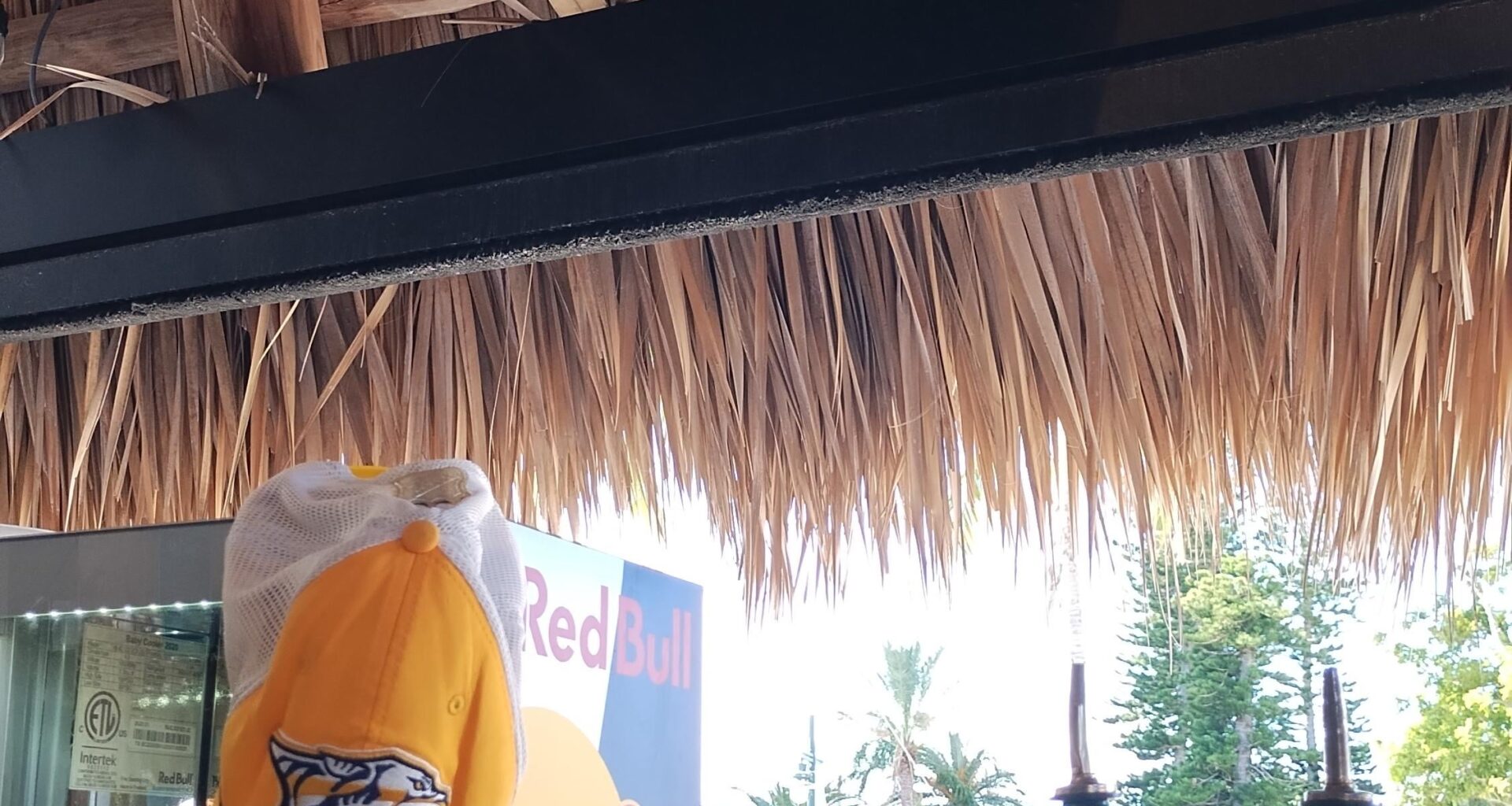 Tending bar on the beach today. Holding it down for the boys.