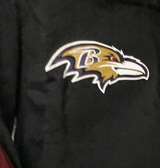 Ordered a hoodie from NFLShop and I received it with the purple and gold colors reversed. The second picture is what I bought. Guess I have a 1 of 1 ravens merch item now! Anyone looking to buy?