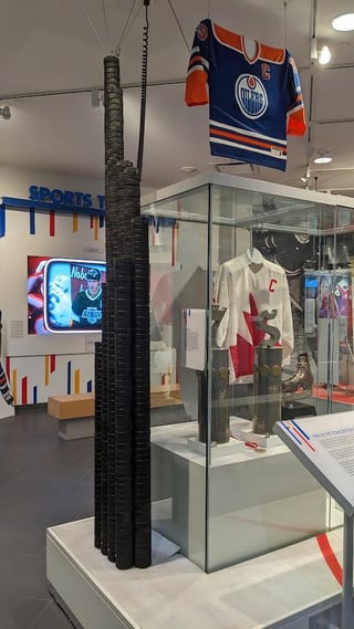 583 Pucks - Wayne Gretzky's regular season goals with the Edmonton Oilers visualized