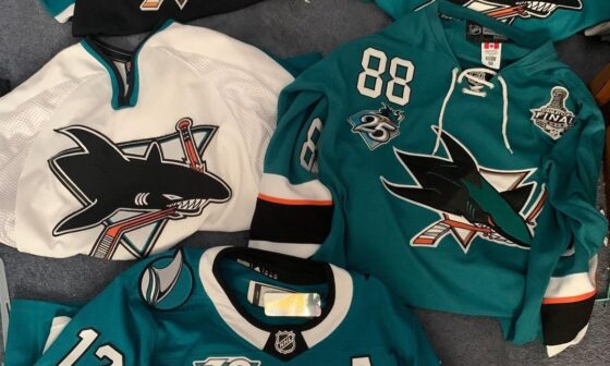 Looking to add to my Sharks Collection any suggestions?