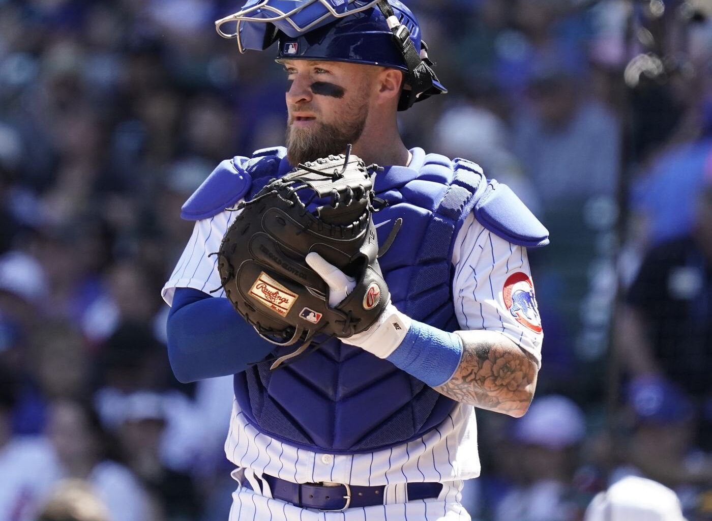 [Alexander] Free Agent Catcher Tucker Barnhart is drawing interest as teams look to fill catching depth. The #Astros and #DBacks are two of the teams interested, per source.