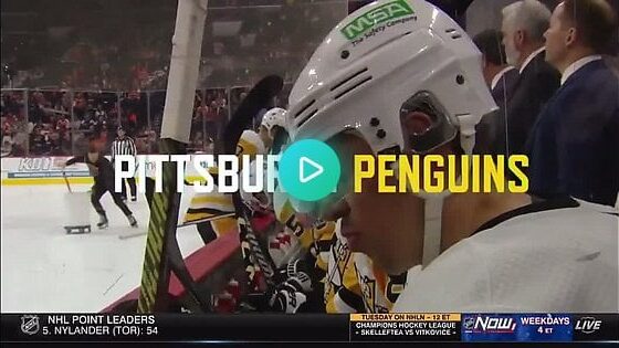 Your weekly /r/penguins roundup for the week of January 03 - January 09