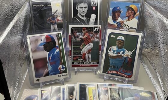 Montreal Expos/Washington Nationals Lot of 100+ Cards (Vlad Guerrero, Tim Raines, and more)