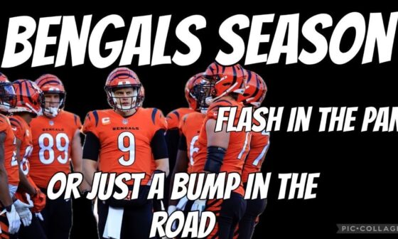 Bengals season flashing the pan or bump in the road?