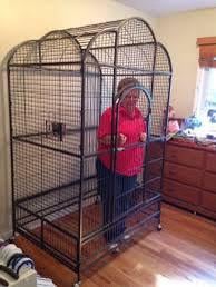 Keeping my grandma in this cage until the Orlando Magic make a trade.