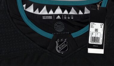 3rd Alternate jersey leaked!