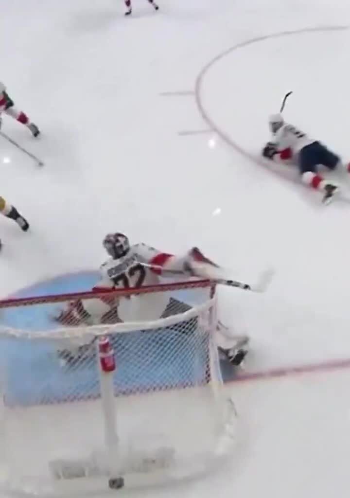 WANTED!! Sergei Bobrovski - On charges for GRAND THEFT LARCENY, BURGLARY and INTENT TO INJURE (their confidence)