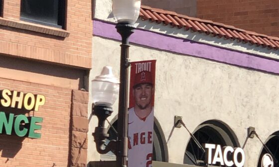 Angels banners up on Mill Ave in Tempe