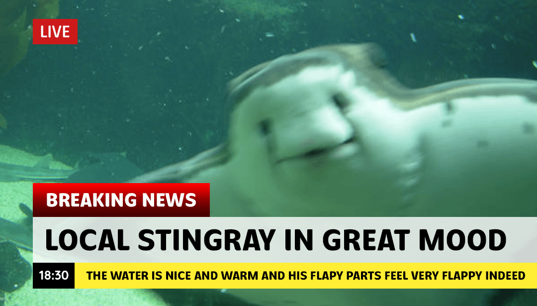 ST/PGT: It's always a good day when the Rays (2-1-1) beat the Yanks (3-2) [F: 4-2]