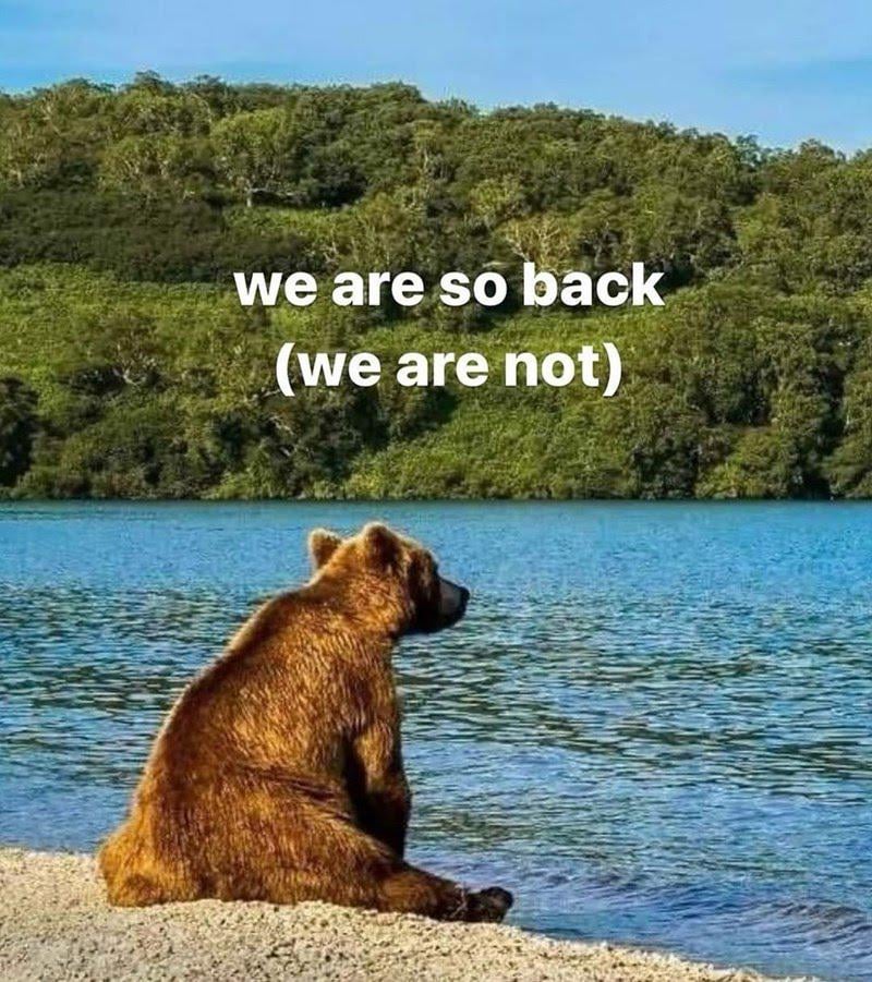 The theme of the season.