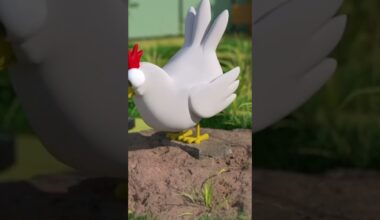 Nothing better than free range, organic, PUCKS! 🤣🐔