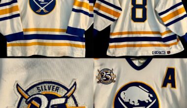 Who remembers these old school San Jose Sharks players?