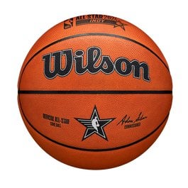 The cheapest you'll ever get an official NBA Basketball for - $125 at Wilson for All-Star ball