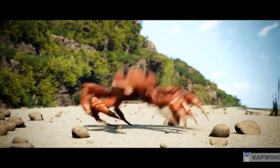 Woke up and saw a Pacers win, bring out the dancing crabs!