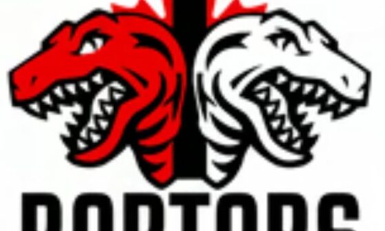 Newer fan of the Raptors and I have been trying to learn as much as possible about the team. I found this logo on Pinterest but I can't seem to find it anywhere else. Is this an official logo or fan-made logo? And if it's real, what's the significance of the white Raptor?