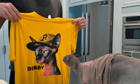 Get Your Dobby Shirts Here!