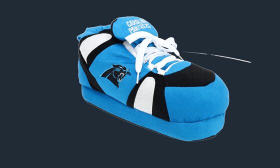 Panthers slippers on sale