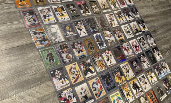 Started collecting Hockey cards a couple weeks ago.