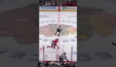 Apple orchard in the WILD 🌲🍎🌲