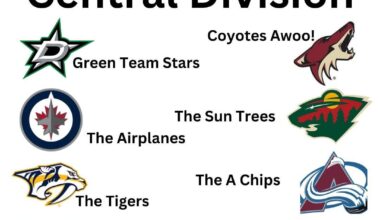 NHL Rebrand Ideas, 5yo edition