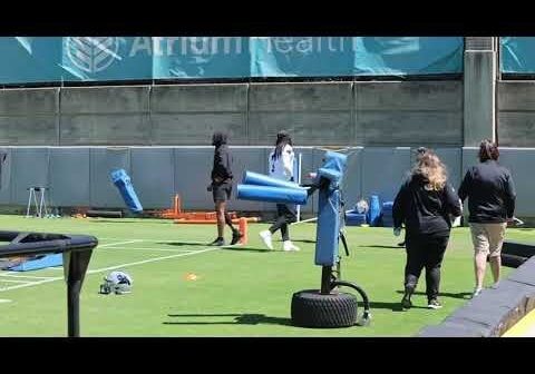 Carolina Panthers Voluntary Minicamp Highlights - Day 1
