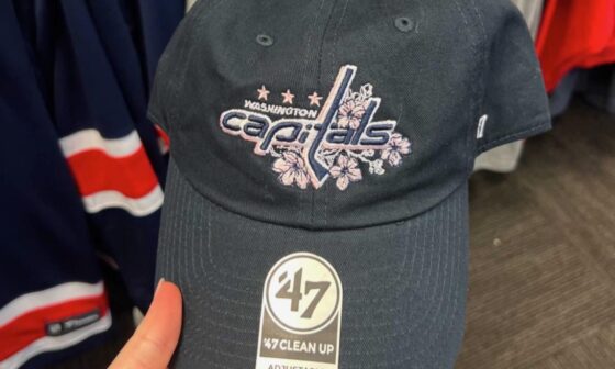 Wings fan moving to DC, looking for this hat below