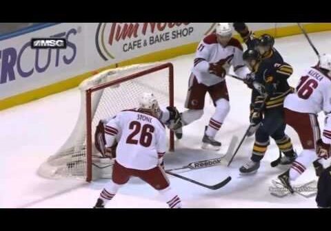 In honor of the Coyotes, here is a goal that I will never forget.