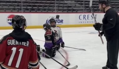 Youth hockey teams could lose out if Roadrunners move to Tempe