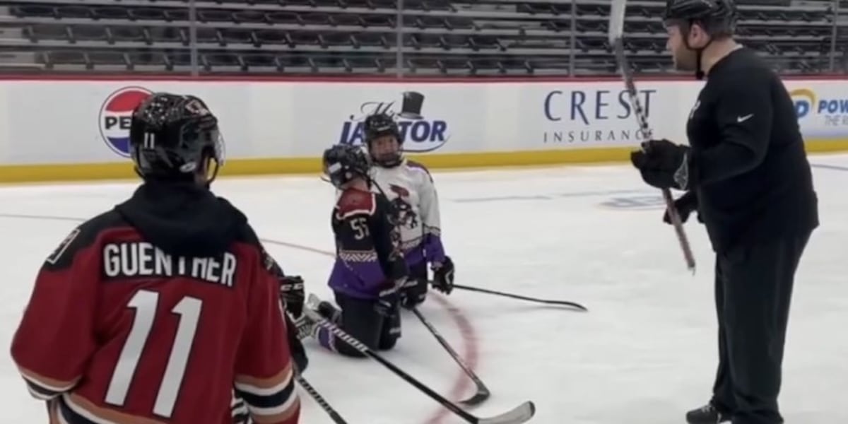 Youth hockey teams could lose out if Roadrunners move to Tempe