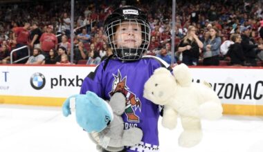 [Morgan] Lyndsey Fry working to ensure future of Arizona youth hockey