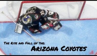 The Rise and Fall of the Arizona Coyotes