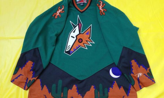 Anyone know where I can buy/find an Arizona Coyotes jerseys specifically the green alternate but any jersey would be great