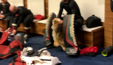 2020 Stanley Cup Playoffs locker room footage