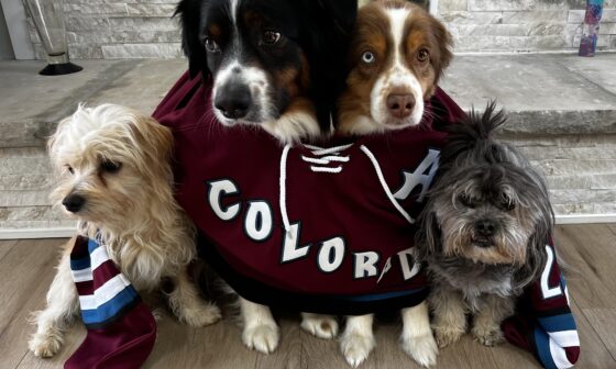 Takes four game day doggos to properly fill out a jersey