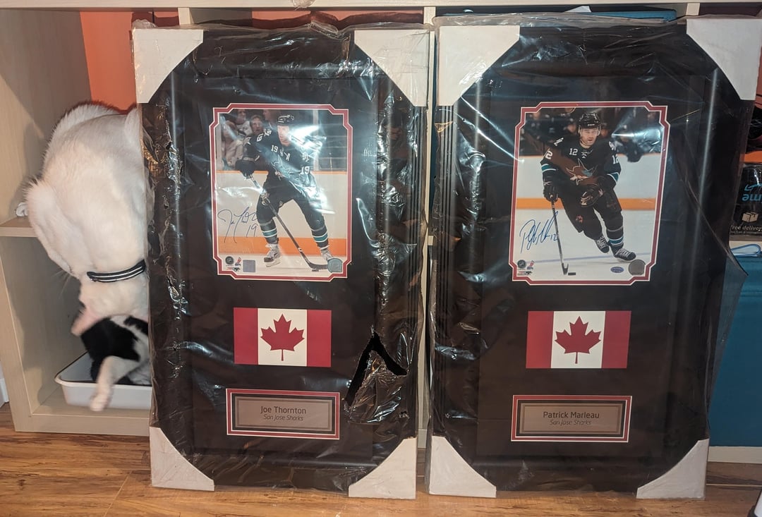 Came for a couch, left with these 2 guys as well.