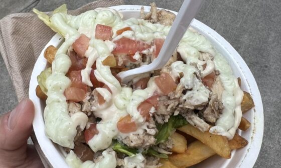 Had to scoop the Shawarma Fries in honor of Arab-American Heritage day at the park.