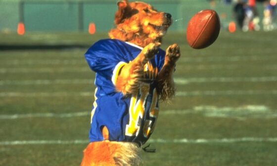 Air Bud Golden Receiver: final review (thanks for the memories)
