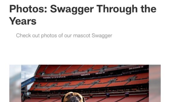 Who remembers Swagger the dog?