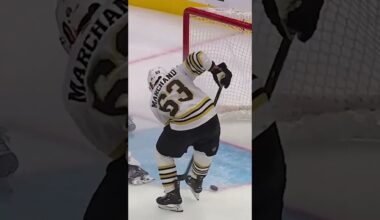 A brick WOLL out there! 🧱🥶😱