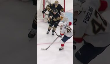 ForSLING IT! 😺🚨