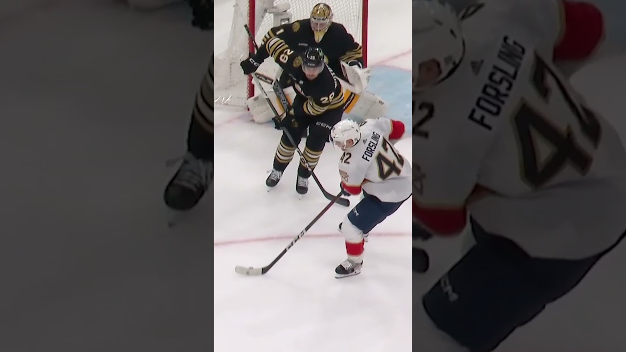 ForSLING IT! 😺🚨