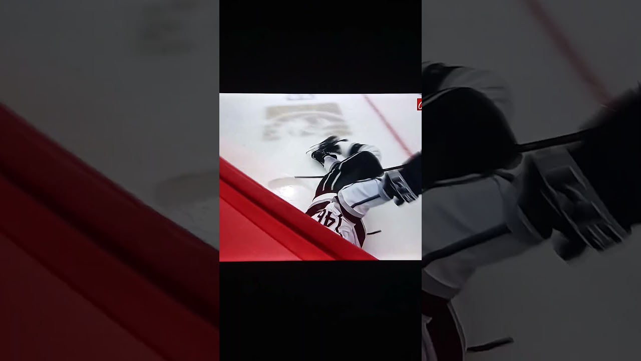 Moritz Seider Smushes Blake Lizotte Into The Corner Boards #nhl #hockey #lakings #redwings