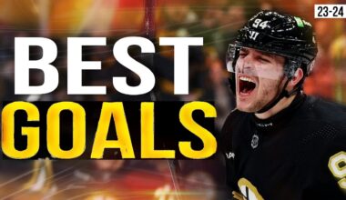 BEST GOALS OF THE BRUINS SEASON (2023-2024)