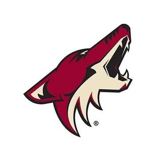 Concept - Utah Coyotes
